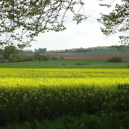 Nocleg ze śniadaniem Suedzimmer *