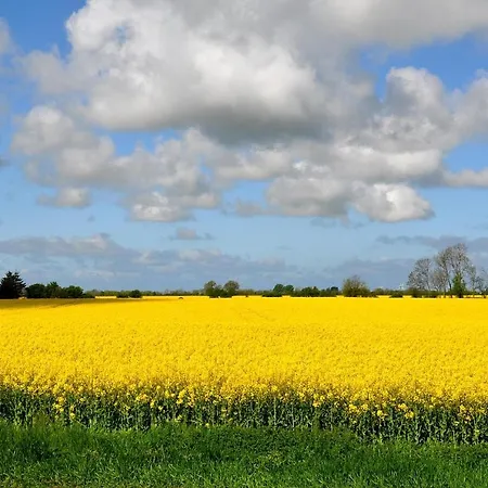 Nocleg ze śniadaniem Suedzimmer